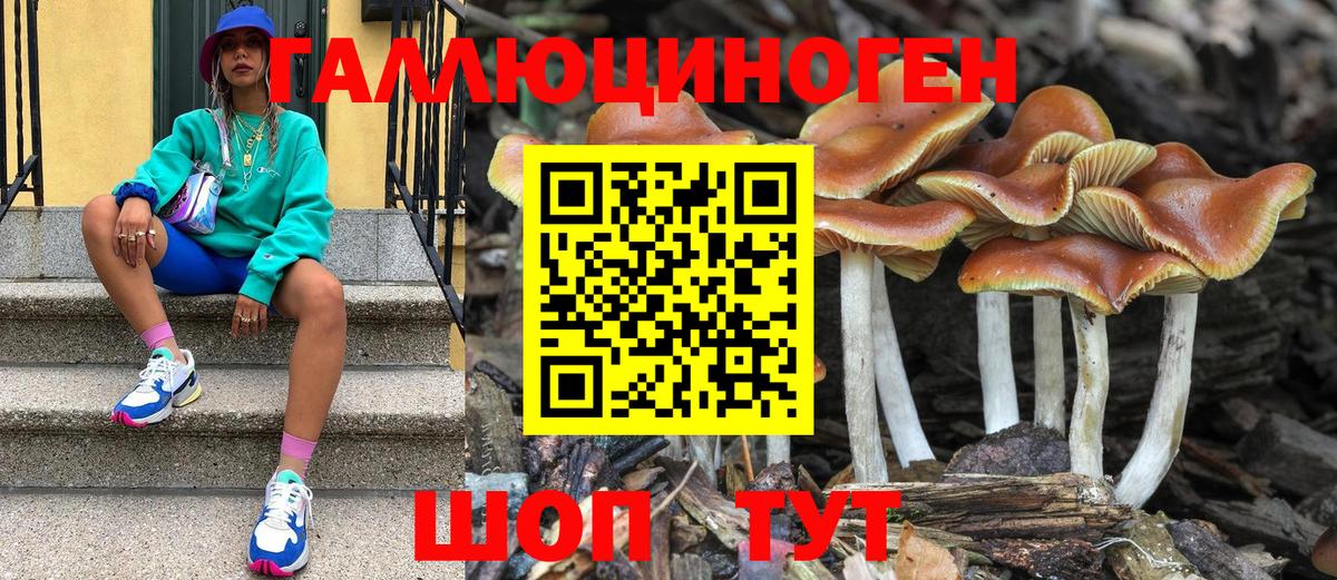 Каменск-Шахтинский  Псилоцибиновые грибы ЛСД  Вход с VPN 