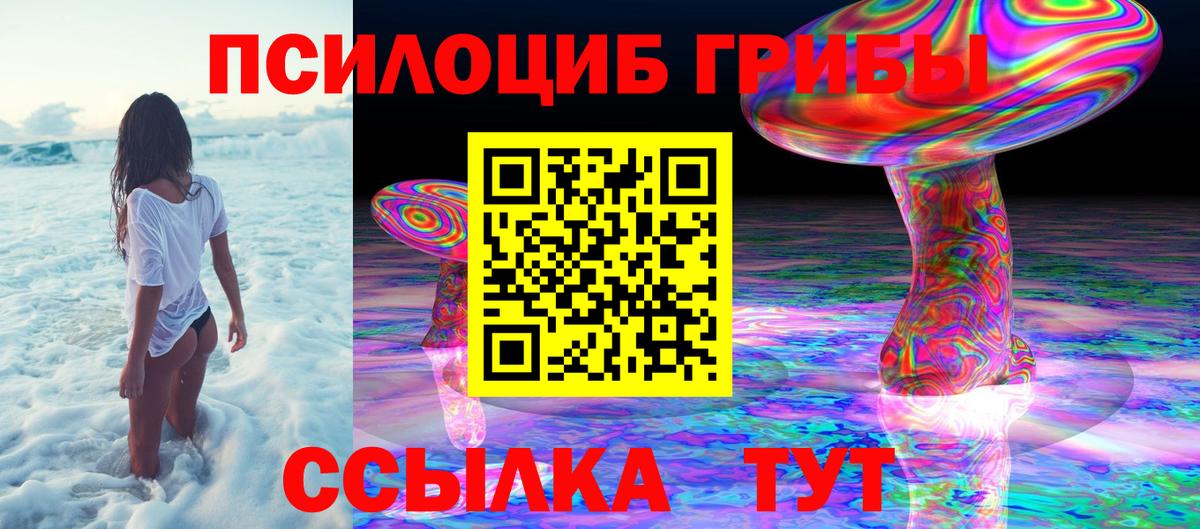 Псилоцибиновые грибы Psilocybe Каменск-Шахтинский